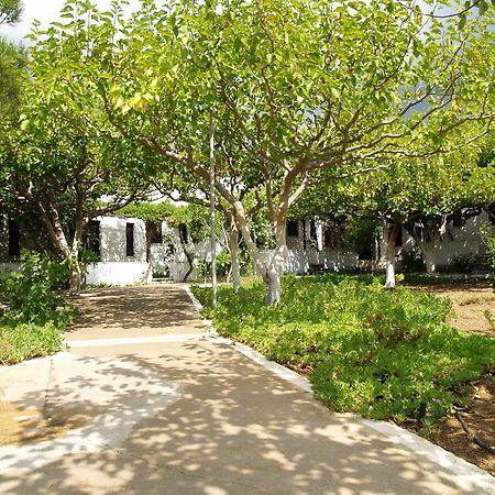 Dolphin Apartments Φραγκοκάστελλο Εξωτερικό φωτογραφία