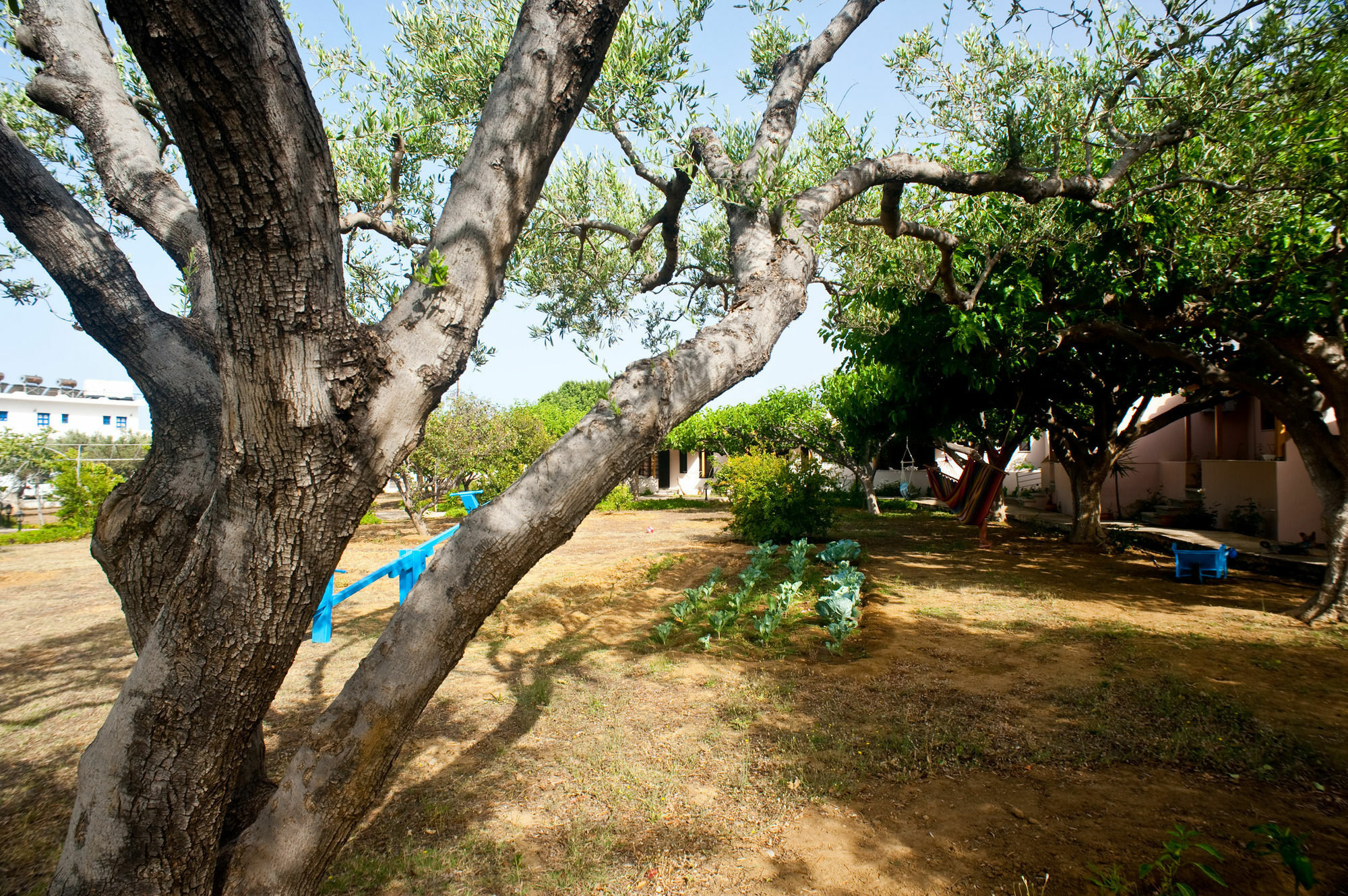 Dolphin Apartments Φραγκοκάστελλο Εξωτερικό φωτογραφία