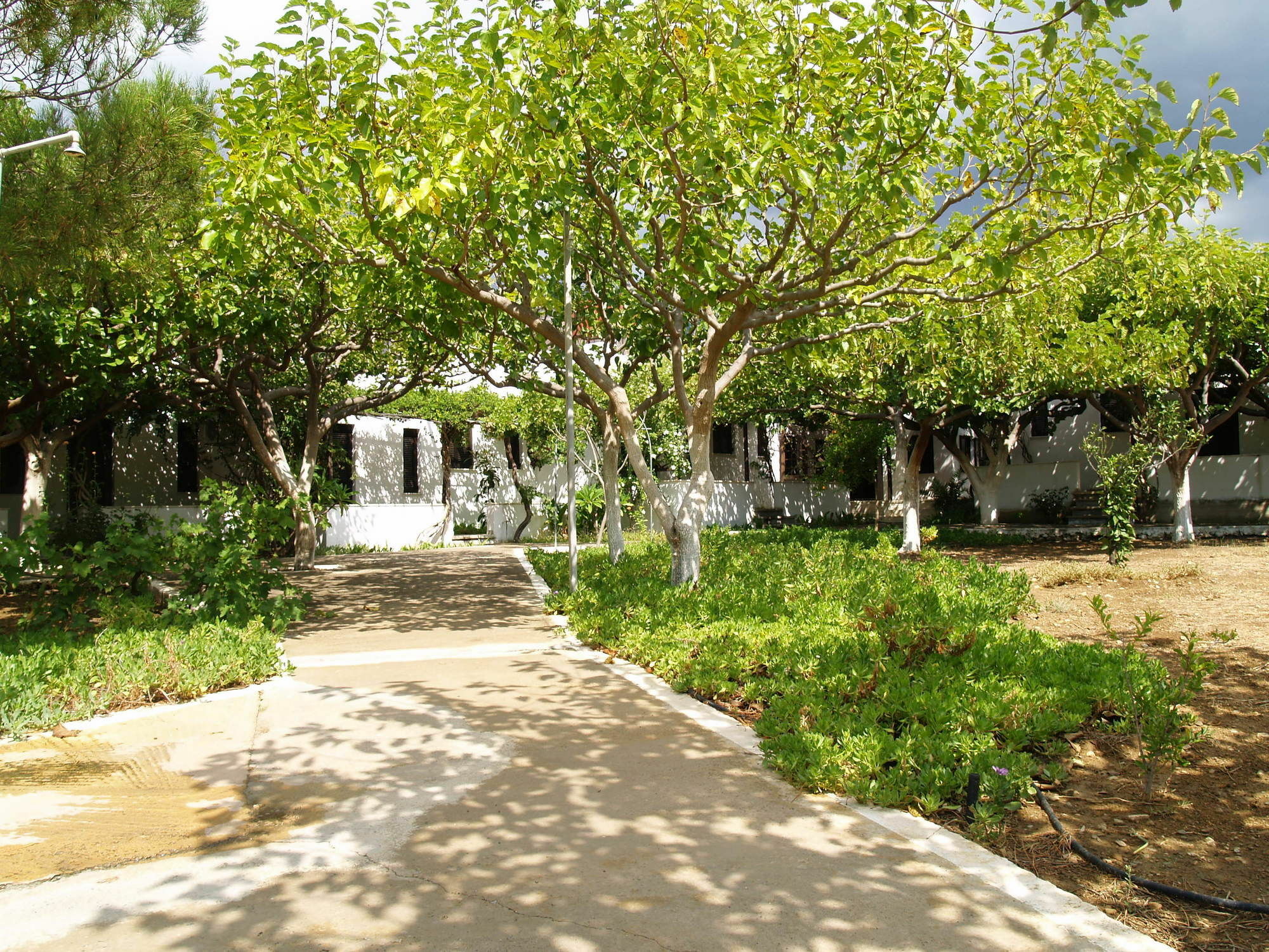 Dolphin Apartments Φραγκοκάστελλο Εξωτερικό φωτογραφία